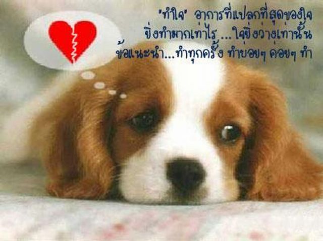 อาการของใจ
