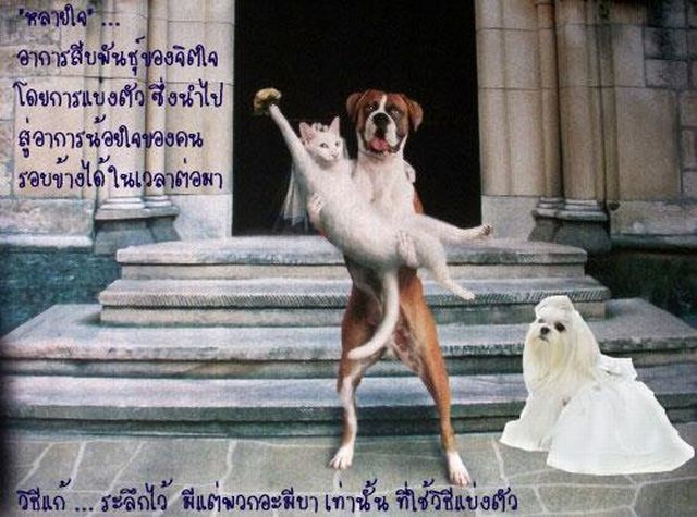 อาการของใจ