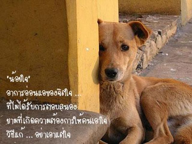 อาการของใจ