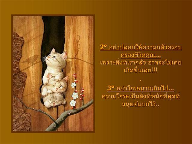 ข้อคิดดีๆจากเวบteenee.comครับ