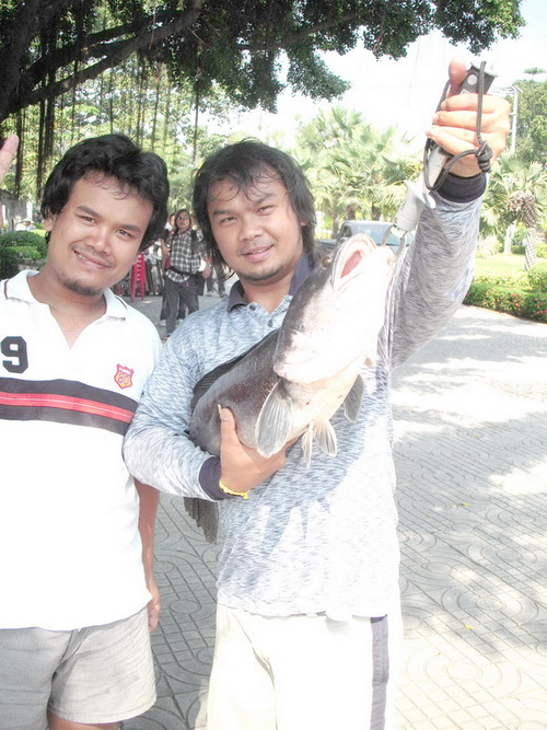 ชะโดในวันงานตกปลาเชิงอนุรักษ์ที่สวนสมเด็จฯ นนทบุรี