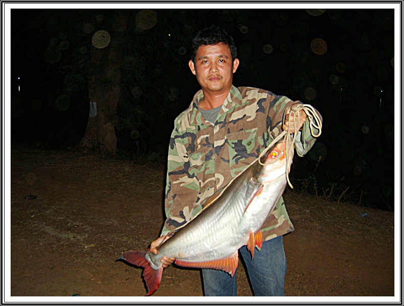 สัปดาห์ที่สอง ณ อ่างเก็บน้ำบึงสนม 