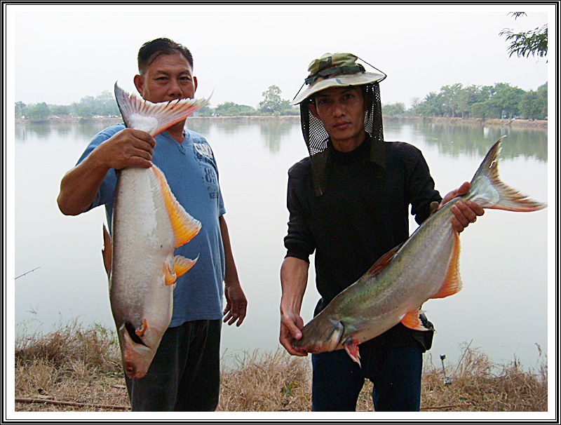 สัปดาห์ที่สอง ณ อ่างเก็บน้ำบึงสนม 