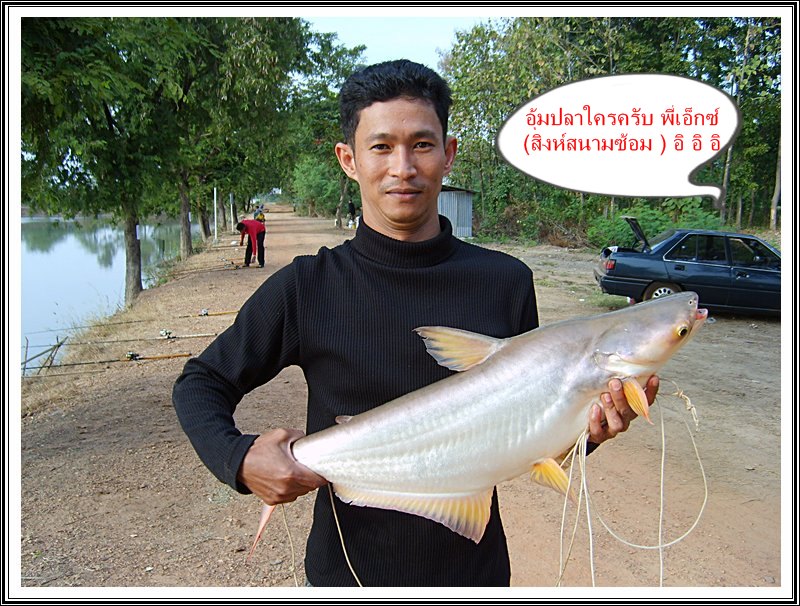 สัปดาห์ที่สอง ณ อ่างเก็บน้ำบึงสนม 