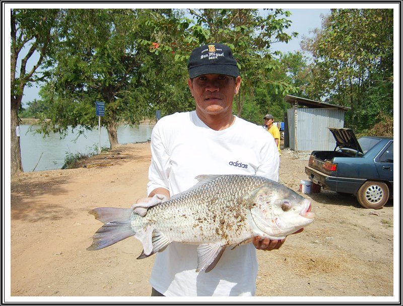 สัปดาห์ที่สอง ณ อ่างเก็บน้ำบึงสนม 