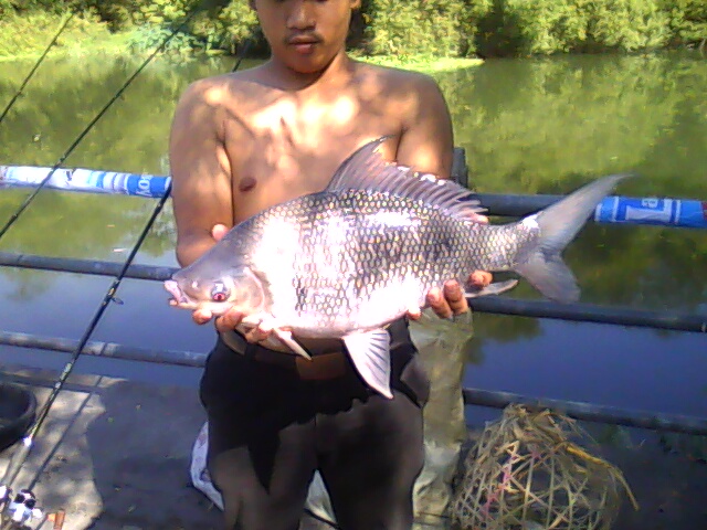 รวมภาของทีม นครนายก Fishing