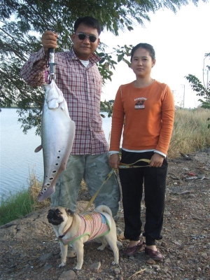 หมายหนองเจ็ดเส้น"อ่างทอง"