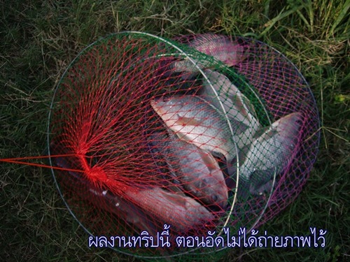 ไปหลิว บ่อ50บาท ออกได้หมดมาให้ชม