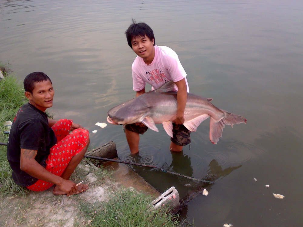 ซ้ำที่เดิม ณ บ่อแสงทองปากเกร็ด