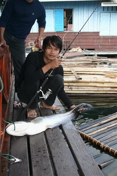 ปลาเค้า วันนี้เป็นของเรา สังขะ กาญจนบุรี 