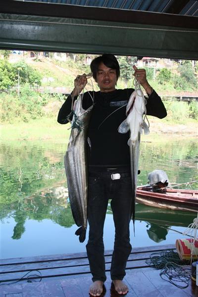 ปลาเค้า วันนี้เป็นของเรา สังขะ กาญจนบุรี 