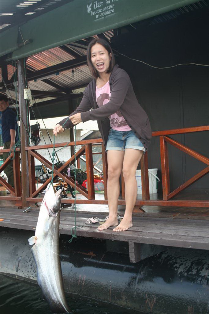 ปลาเค้า วันนี้เป็นของเรา สังขะ กาญจนบุรี 