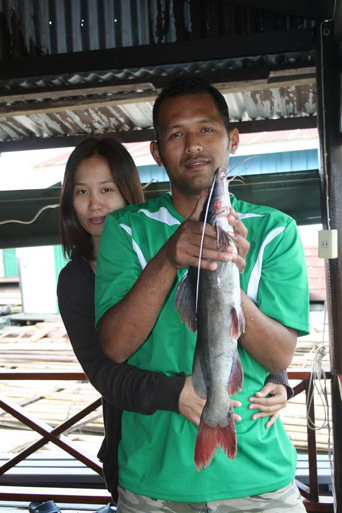 ปลาเค้า วันนี้เป็นของเรา สังขะ กาญจนบุรี 
