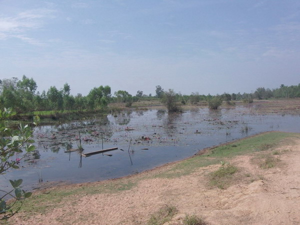 ปลาน้อยสุรินทร์