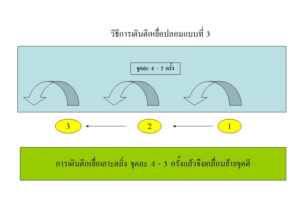 เทคนิคการเดินตีเหยื่อปลอมในแบบของผม