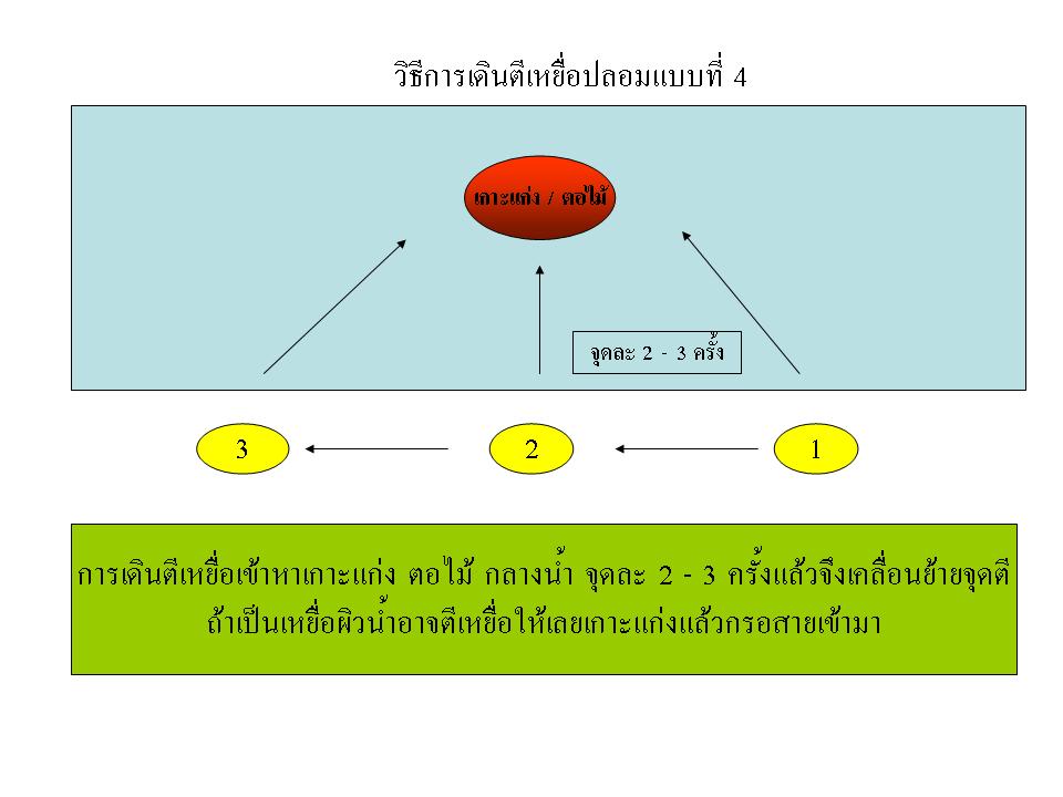 เทคนิคการเดินตีเหยื่อปลอมในแบบของผม