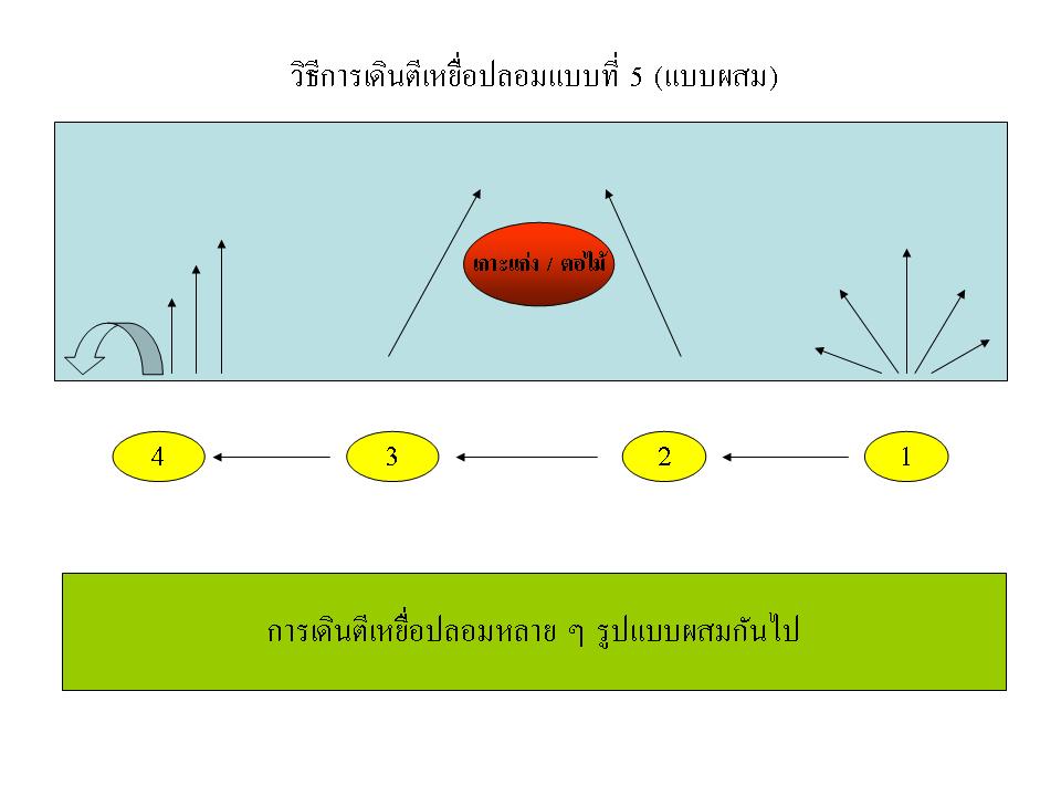 เทคนิคการเดินตีเหยื่อปลอมในแบบของผม