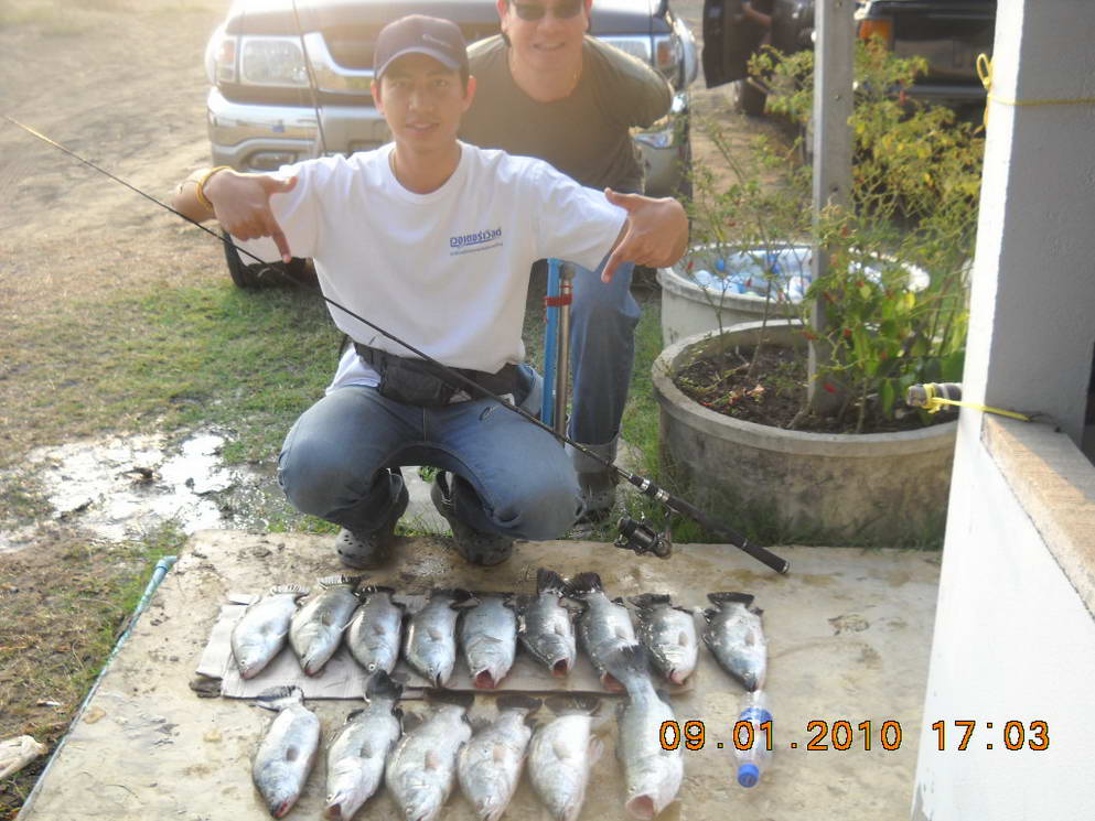 <<<<ได้กันทั่วหน้า บ่อลุงดำ 9-1-53 >>>>