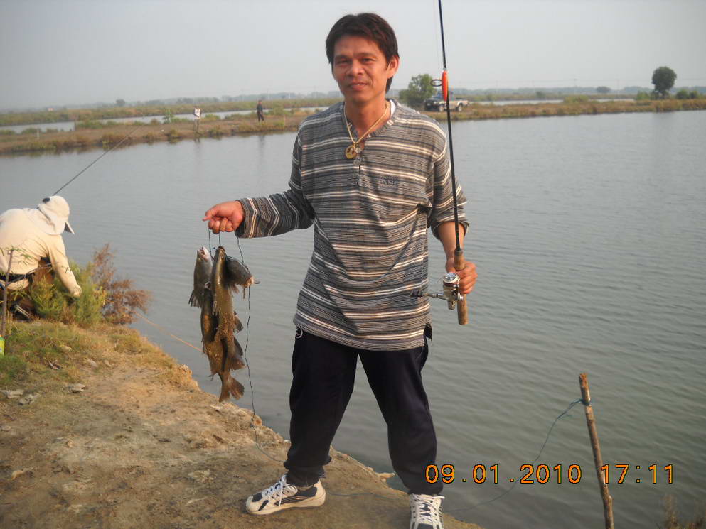 <<<<ได้กันทั่วหน้า บ่อลุงดำ 9-1-53 >>>>