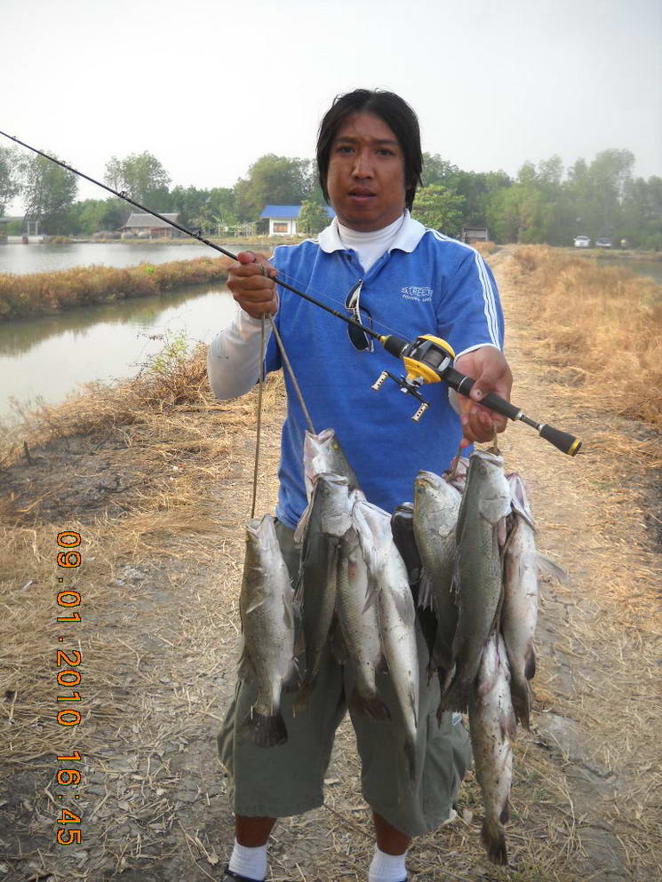 <<<<ได้กันทั่วหน้า บ่อลุงดำ 9-1-53 >>>>