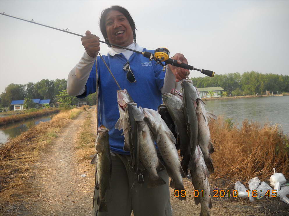 <<<<ได้กันทั่วหน้า บ่อลุงดำ 9-1-53 >>>>