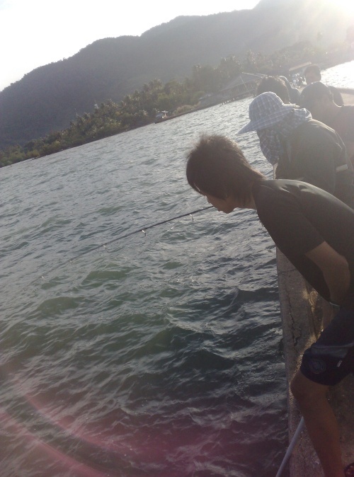 ฝูงกระเบน ที่ สะพานสลักเพชร หมู่เกาะช้าง ที่เดิม