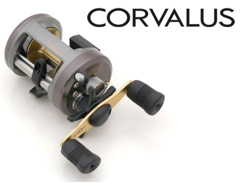 รอกเบท Shimano CORVALUS 400 กับ Shimano TR100