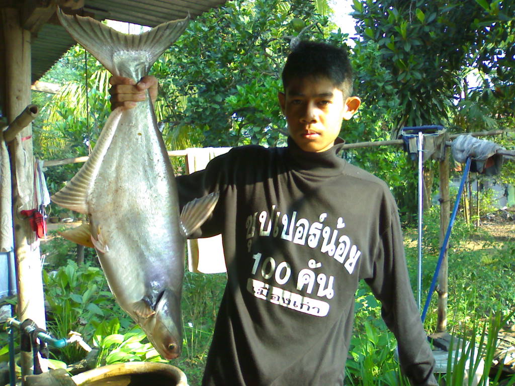 โรงช้าง พิจิตร  เสาร์ที่ผ่านมา
