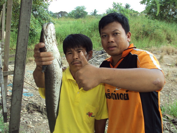 ยามเบ็ดหมายลับในคืนเดือนมืด ภาค 3 ปิดหมาย