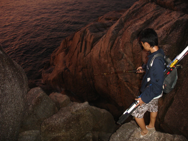 หมึกหลังหาดพาราไดซ์ภูเก็ต