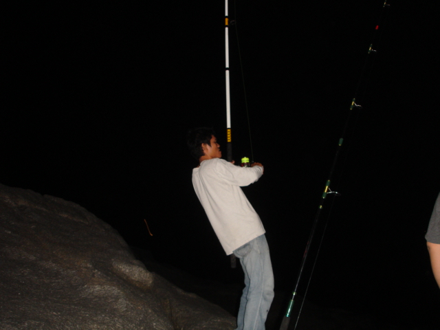 หมึกหลังหาดพาราไดซ์ภูเก็ต