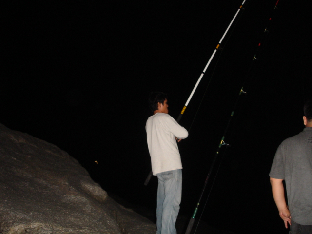 หมึกหลังหาดพาราไดซ์ภูเก็ต
