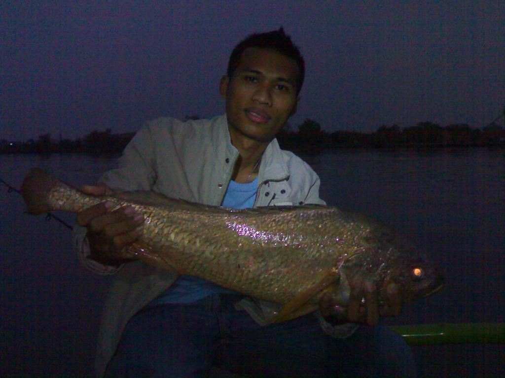 ปลาหางกิ่วเข้าแล้วที่แพบางประกงครับ 31/01/10