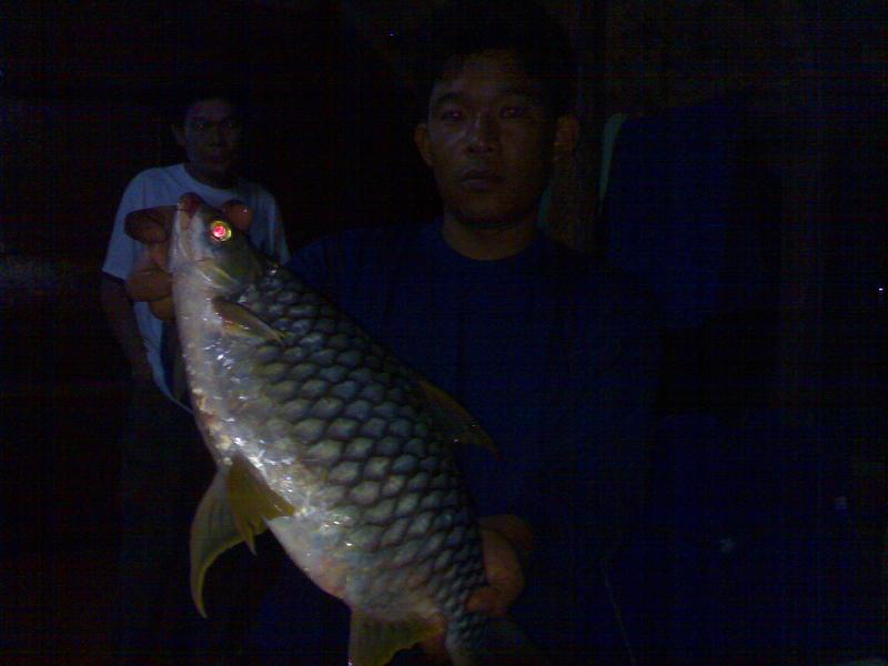 ปลาอะไรไม่รู้ ที่เขื่อนศรีนครินทร์