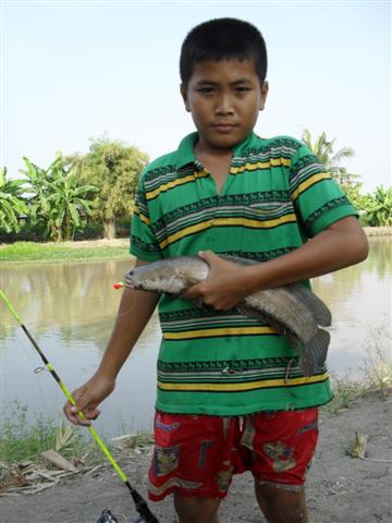 ตกปลาช่อนกับน้องที่บ่อหลังบ้านแถวลาดกระบัง บางพลี
