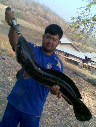 ไปได้ของใหญ่มาครับ