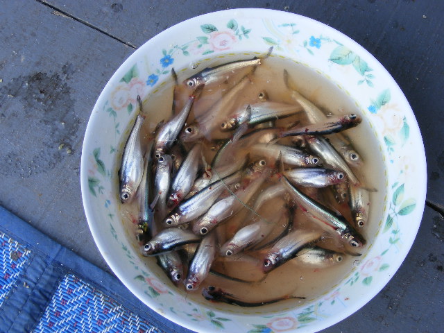 บางไทร เดือน กุมภาพันธ์