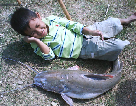 ปลากดใหญ่ๆ..