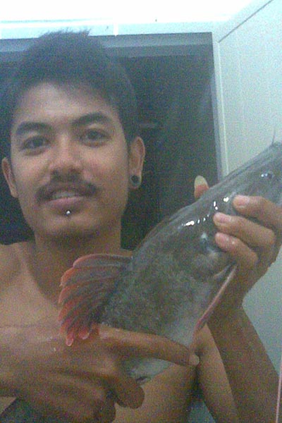 ปลากดใหญ่ๆ..