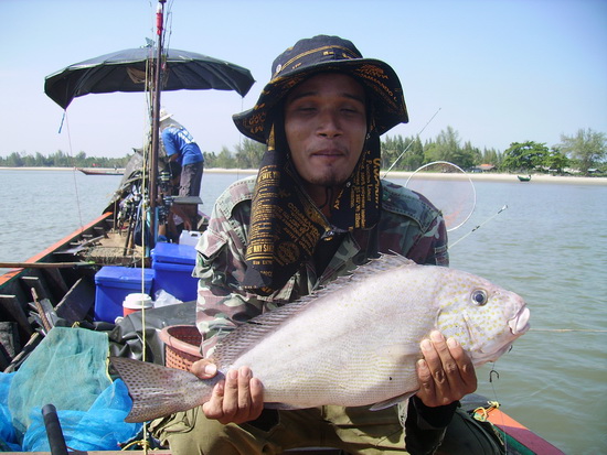 <b>ท่าชนะสุราษฎร์ธานี</b>