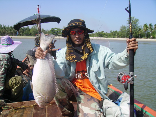 <b>ท่าชนะสุราษฎร์ธานี</b>