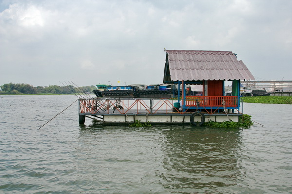 เรือนแพ fishing  @บางไทร