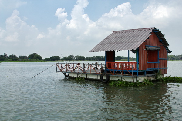 เรือนแพ fishing  @บางไทร