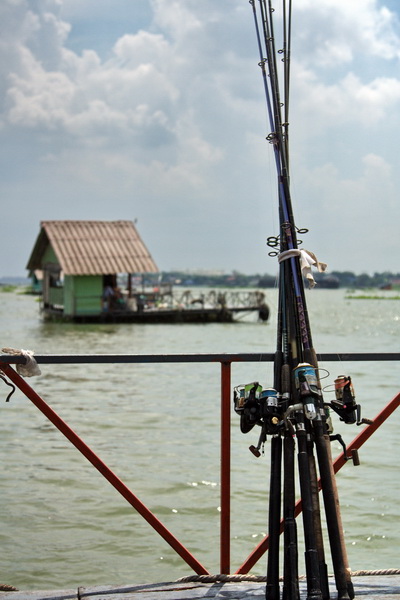 เรือนแพ fishing  @บางไทร