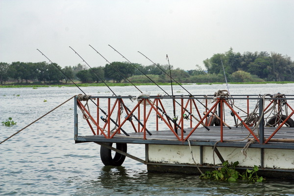 เรือนแพ fishing  @บางไทร