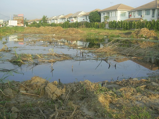 ปลาข้างทาง  เกษตร-นวมินทร์