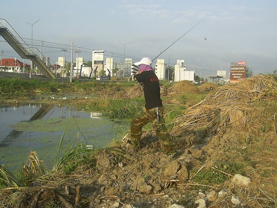 ปลาข้างทาง  เกษตร-นวมินทร์