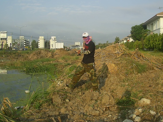 ปลาข้างทาง  เกษตร-นวมินทร์