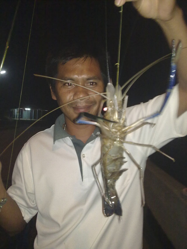 กุ้งอีกแล้วครับ.........