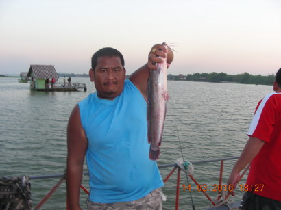 คนผักไห่และหอยขมไปเยือนเรือนแพ